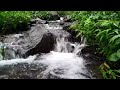 Nature White Noise, Relaxing Wind & Water Sounds ,Meditation, Stress Relief & Anxiety