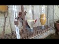 How to make a chicken feeder with a plastic pipe