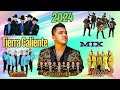 Lo Mas Nuevo Tierra Caliente 24 Mix 2024  Exitos de Los Players • Tierra Cali • La Dinastia