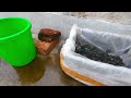 Imported guppy 😱 outdoor setup step by step | Aqua fish lover bkm | Most beautiful guppy 🐟