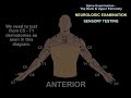 Spine Exam Neck & Upper Extremity - Everything You Need To Know - Dr. Nabil Ebraheim