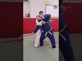 Stick Restraint and Throwing Techniques