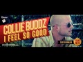 COLLIE BUDDZ - I FEEL SO GOOD - DYNASTY RECORDS / TWELVE 9 RECORDS 2011