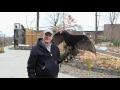 Creature Feature: Turkey Vulture