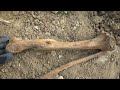 The Hell where Youth and Laughter go - WWII German cemetery exhumation