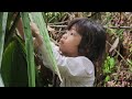 The poor girl went to the forest to pick chicken eggs and wild grapes to sell to make a living