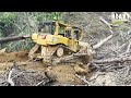 Caterpillar D6R XL bulldozer operators is very good at working to smooth plantation roads