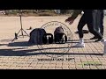 #maftownfitnesscamp | Mafikeng Fitness camp | push up challenge