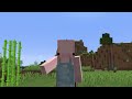 Why I Betrayed My Teammate On This Minecraft SMP