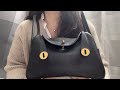 Hermes Handbag Reveal! | Featuring DGAZ purse organizer