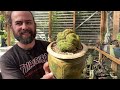 Mutant cacti: the weird and the beautiful