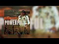 Rygin King - Powerful (Official Audio)