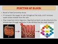 Blood Composition and Function| MICRO INSIGHTS