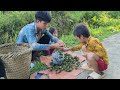 Homeless boy and abandoned girl harvest fruit to sell | Lý Văn Chiêu