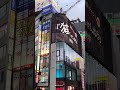 The amazing giant and realistic 3D Cat on a billboard on Shinjuku. #cat #3dcat #shinjuku