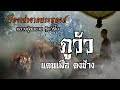 ภูวัวแดนเสือดงช้าง | EP.34 เรื่องเล่าพระธุดงค์ | หลวงปู่สมชาย ฐิตวิริโย