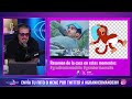 CAPÍTULO 47 👁️ GRAN HERMANO TEMPORADA 2 🤩REACT CON CLAUDIO MICHAUX 📺