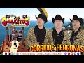 Los Gallitos De Chihuahua Exitos - Puros Corridos Mix Exitos - Corridos Perronas Exitos 2024