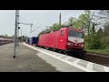 Heute Sichtungen aus Werder bei Potsdam und Glienicke Nordbahn.