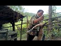 Create amazing bamboo trap to catch civet eat chicken in the Garden good results