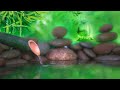Relaxing music that heals stress, anxiety and depressive conditions, heals, gentle water sound