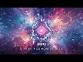 Divine Harmonies 013b   |   Psychedelic UK Techno & Electropop   |   X N Y