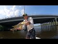 I Fished Florida Bridges For 72 Hrs And Caught A GIANT...