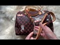 Louis Vuitton Catogram Speedy