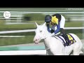 Pure White Racehorse! | The World's Most Beautiful Horse Sodashi ソダシ | 3 Breathtaking Wins In Japan!