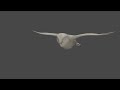 A short 3D birds flight