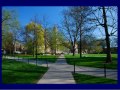 Penn State Campus Photo Gallery