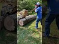 Using Homemade Log Roller