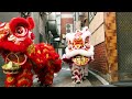 Lion Lunar Love Story 🦁🧡 | subtle asian traits
