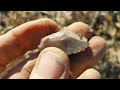 in search of Ancient Native Ohio Artifacts-Flint Ridge Tool discovery