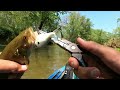Whopper Plopper Creek Kayak Action