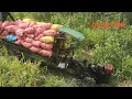 xe công nông chở bắp xuống núi cực đỉnh /Farm vehicles carrying corn down the mountain are extremely