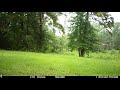 Trail Cam - Deer 2