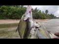 1st Fishing Ngayong 2023 | Harvest ang Bluefin trevalley | Lavezares N. Samar