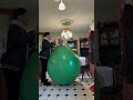 Balloon Banter 🤣🎈