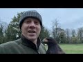 FALCONRY: Five tips to train your Harris’ Hawk