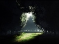 Dark Forest (Magellan iPad Synth Drone/Atmospheric, Sub-Bass)