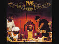 Nas (feat Redman, Notorious BIG, Mobb Deep, AZ, 2pac, Nas,