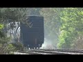 🌱 CSX Weed Sprayer Train Operating in Rosedale 🌱