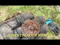 Saving Silver and Key Date Diggin' Duo Metal detecting Late May 2024