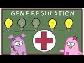 Regulación génica y el orden del operón