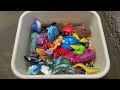 Muddy Sea Animal Toys Getting Washed