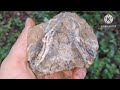 ARROWHEAD HUNT TREASURE HUNT ARROWHEADS & INSULATORS ARCHEOLOGY