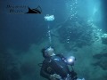 Cathedral cave dive Coron Island Philippines http://www.la-video-sous-marine.com/