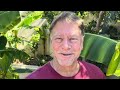 Growing Bananas - Tips to Fruit these Hardy Varieties - California usda z9b