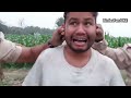 Ziddi Police It' Really Amazing video story |BindasFunJoke